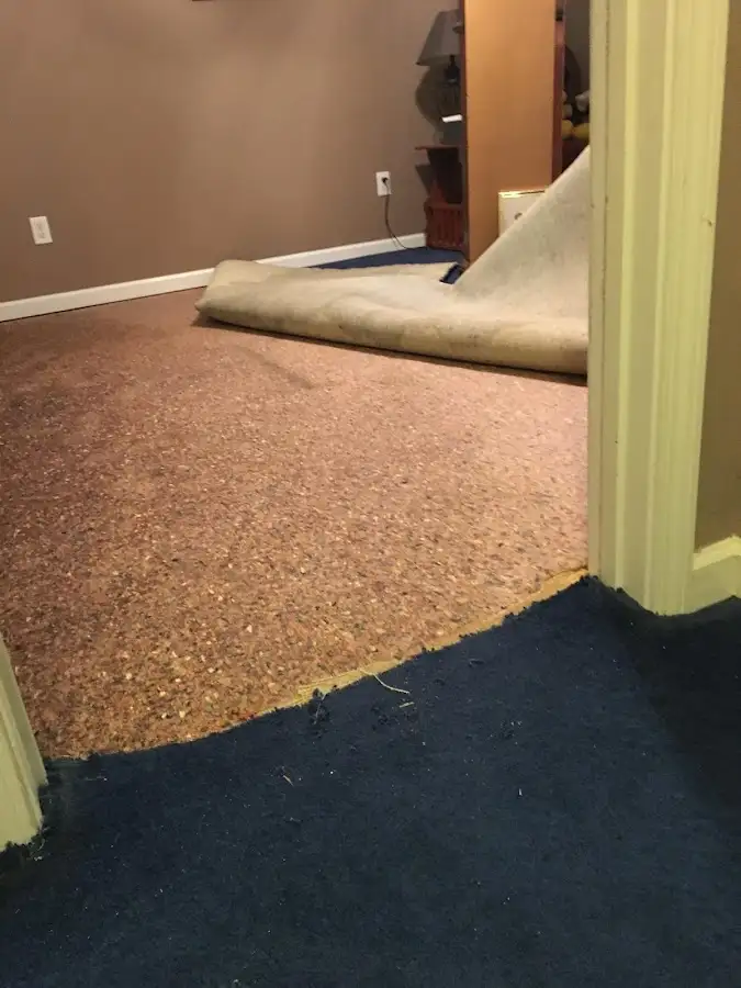 Carpet pad removal revealing water damage during Water Mitigation Services in Sturbridge